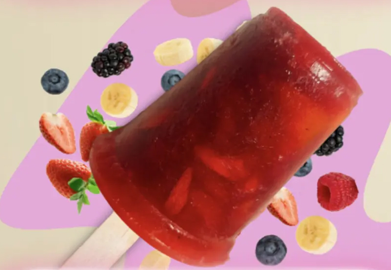 Popsicle artisanale Salpicon de fruits Stellita